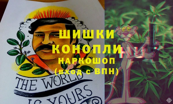 прущий лед Алзамай
