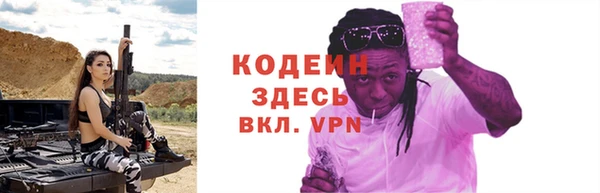 прущий лед Алзамай