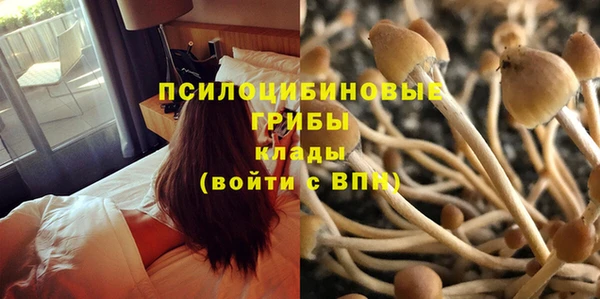 амф Алексеевка