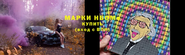 прущий лед Алзамай
