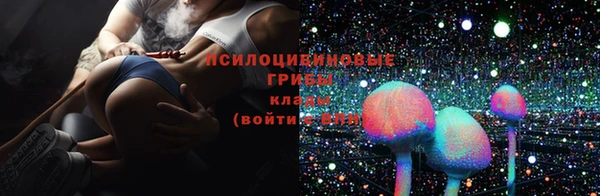 амф Алексеевка